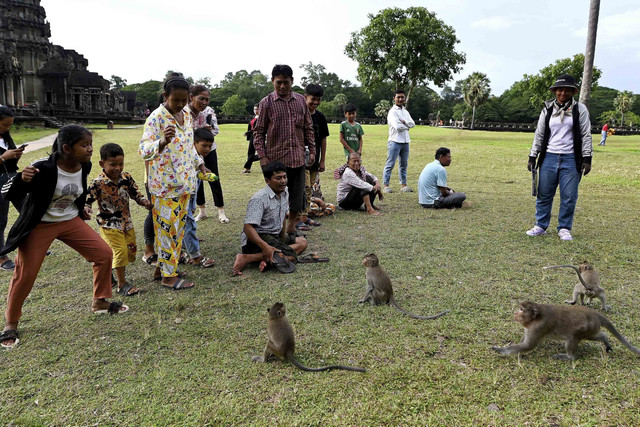 Para turis sedang mengamati monyet-monyet kera di kompleks candi Angkor Wat, sebuah Situs Warisan Dunia UNESCO, di provinsi Siem Reap, Kamboja. Foto: Tang Chhin Sothy/AFP