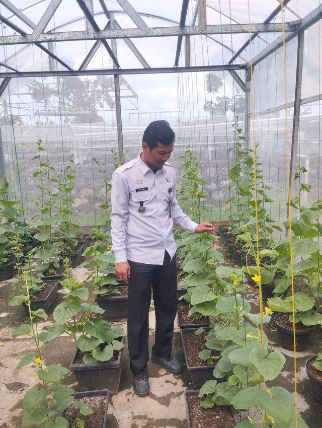 Kasi Bimnadik dan Kegiatan Kerja mengecek budidaya melon di greenhouse