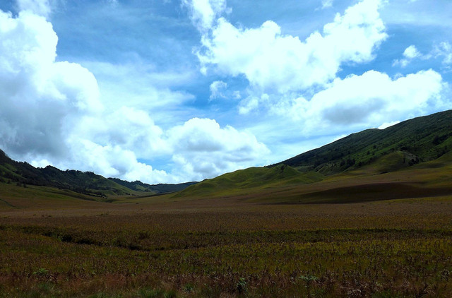 Buffalo Hill. Foto hanya ilustrasi, bukan tempat yang sebenarnya. Sumber: Pixabay/astama81