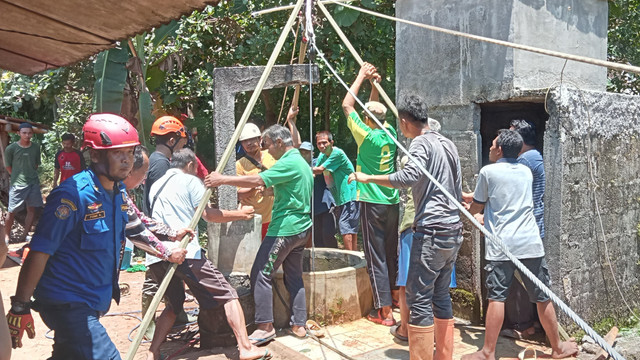 Proses evakuasi sapi tercebur sumur di Kabupaten Gunungkidul, Kamis (6/2/2025). Foto: BPBD Gunungkidul 