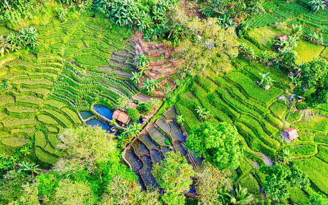 Kolam Air Panas di Tengah Sawah. Foto hanya ilustrasi, bukan tempat sebenarnya. Sumber: pexels.com/Tom Fisk