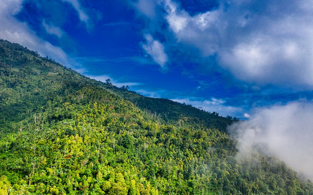 Gunung Sagara. Foto hanya ilustrasi, bukan tempat sebenarnya. Sumber: pexels.com/Tom Fisk