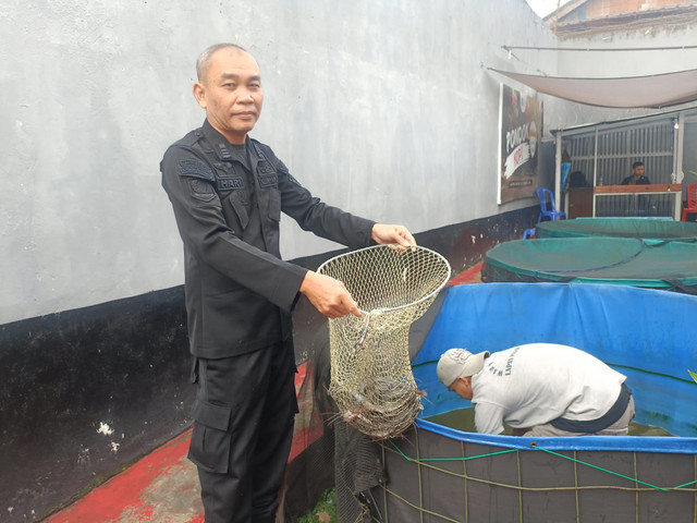 Lapas Pagar Alam Gelar Panen Ikan Lele, Dukung Ketahanan Pangan 