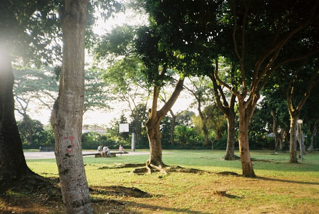 Taman Sritanjung (Foto hanya ilustrasi, bukan tempat sebenarnya) Sumber: unsplash/ LEONG YEE FOON