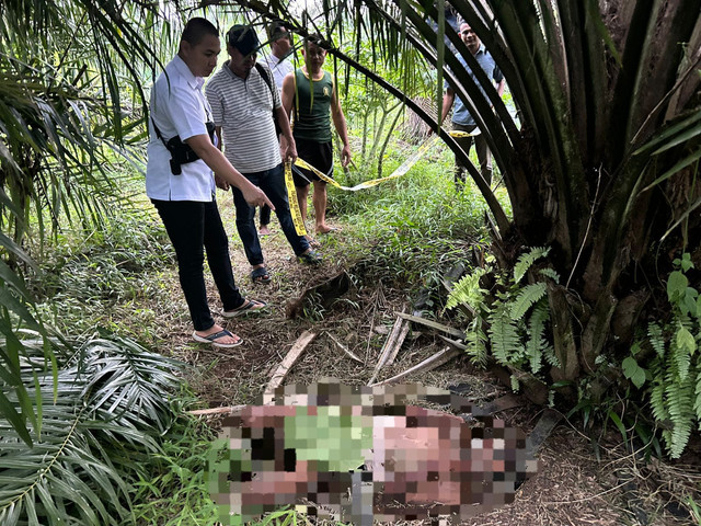 Penemuan mayat pria di di kebun kelapa sawit Dusun Srimulyo II, Desa Pemanggilan, Natar, Lampung Selatan. | Foto: Dok Polsek Natar