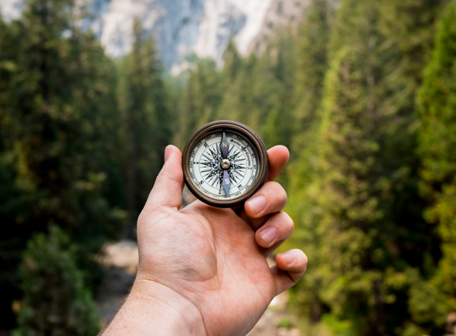 Ilustrasi arah mata angin pokok adalah. Sumber: Unsplash/Jamie Street