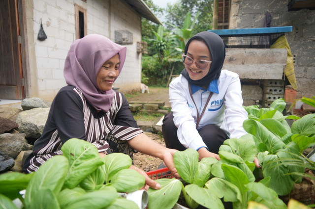 Program Rumah Pangan PNM dalam memberdayakan ibu-ibu prastejahtera. (ist)