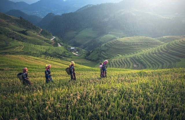 Ilustrasi Kunci Jawaban IPAS Kelas 4 Halaman 145. Sumber: Pexels/Pixabay