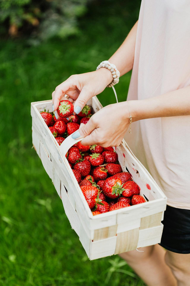 Foto pemetikan buah strawberi oleh Photo By: Kaboompics.com: https://www.pexels.com/id-id/foto/sehat-orang-tangan-rumput-4736382/