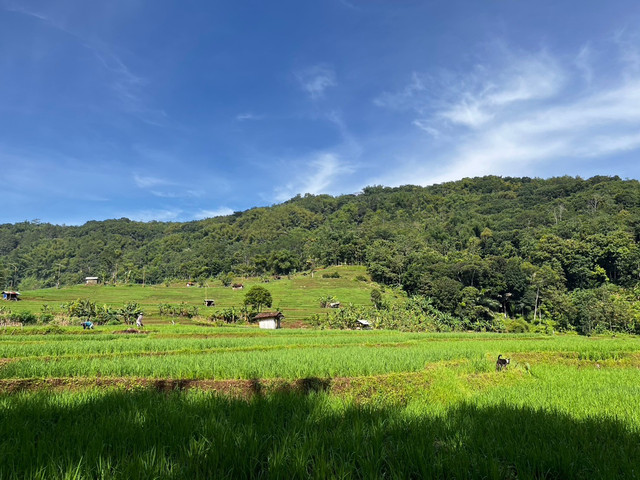 Desa Margamekar (Sumber: dokumentasi pribadi, 2025)