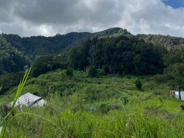 Pemandangan Desa Margamekar.