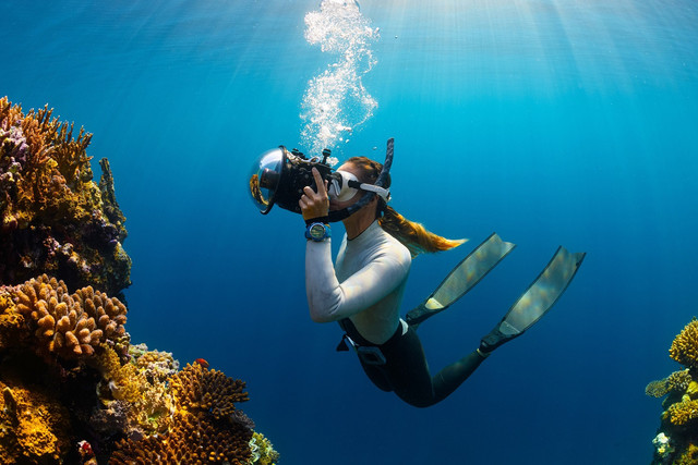 [Bangsring Underwater Banyuwangi] Foto hanya ilustrasi, bukan tempat sebenarnya. Sumber: unsplash/Neom