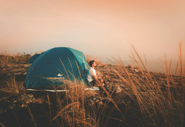 Ilustrasi rekomendasi tenda 4 orang double layer. Foto: Pexels.com/Bazil Elias