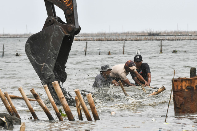 Operator alat berat escavator dari PT TRPN membongkar pagar laut dengan pengawasan Polisi Khusus Pengelolaan Pesisir dan Pulau-pulau kecil (Polsus PWP3K) Ditjen PSDKP di pesisir laut Tarumajaya, Kabupaten Bekasi, Jawa Barat, Selasa (11/2/2025). Foto: ANTARA FOTO/Fakhri Hermansyah