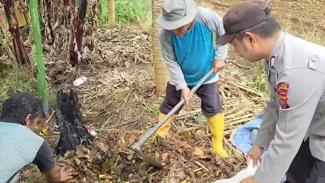 Polsek bersama dengan warga di Kendawangan membuat pupuk dari jangkung pisang. Foto: Dok. Polres Ketapang