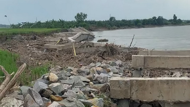 Kondisi pelindung tebing Sungai Bengawan Solo di Kecamatan Baureno, Kabupaten Bojonegoro, Jawa Timur yang ambles. (Aset: Istimewa)