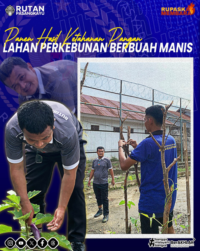 Panen Hasil Ketahanan Pangan : Lahan Perkebunan Berbuah Manis