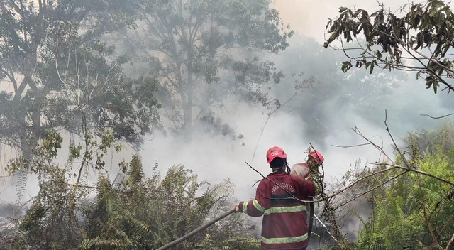 Tim pemadam saat berusaha mematikan api di Jalan Sepakat 2 Pontianak. Foto: Dok. PMI Provinsi Kalbar