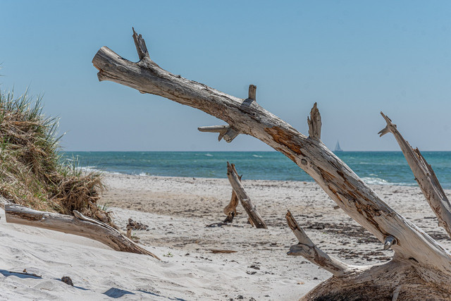 Pantai di Garut Selatan, Foto Hanya Ilustrasi, Bukan Gambar Sebenarnya, Sumber Foto: Pixabay/Thomas