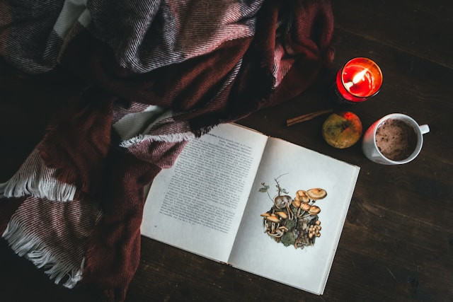 Ilustrasi bagaimana jika cerita buku tidak memiliki gambar pendukung, Photo by Kira auf der Heide on Unsplash