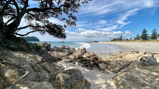 Pantai Taman Manalusu. Foto hanya ilustrasi, bukan tempat sebenarnya. Sumber: Unsplash/Andre