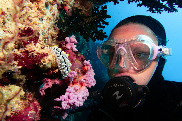 Rekomendasi kacamata diving,Pexels/Matt Botha