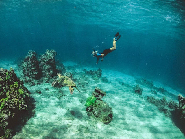 Pantai Terbaik untuk Snorkeling di Sulawesi. Foto hanya ilustrasi, bukan tempat sebenarnya. Sumber: unsplash.com/Subtle Cinematics