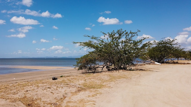 Pantai Cibuaya. Foto hanya ilustrasi, bukan tempat sebenarnya. Sumber: Unsplash/Jheycoll Colamen