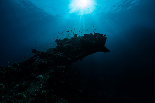 Photo by Saad Alaiyadhi: https://www.pexels.com/photo/coral-reef-deep-underwater-10141407/