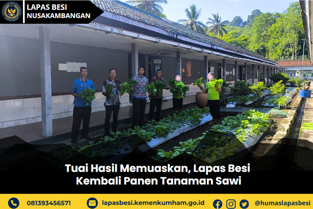 Tuai Hasil Memuaskan, Lapas Besi Kembali Panen Tanaman Sawi