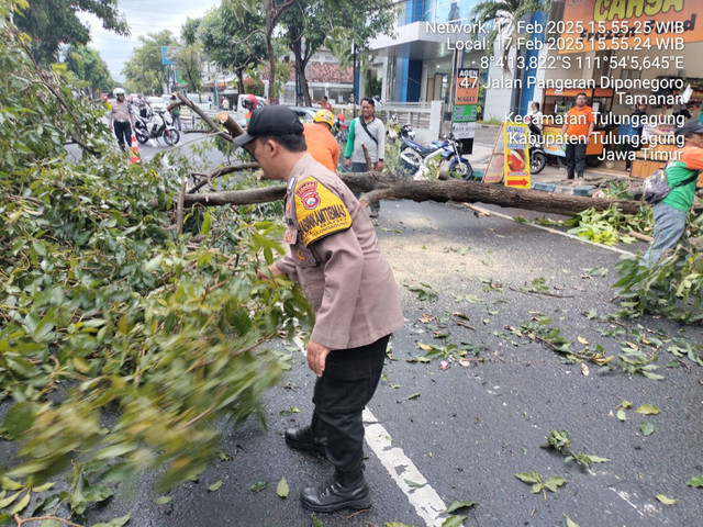 Polsek Tulungagung Kota Bantu Evakuasi Pohon Tumbang di JL Pangeran Diponegoro