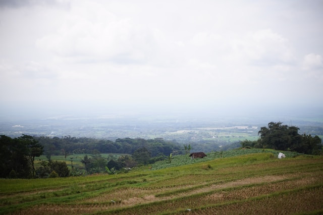 Ngawi ke Madiun Berapa Jam. Foto Pemandangan di Ngawi. Sumber: unsplash.com/Triska Anggita