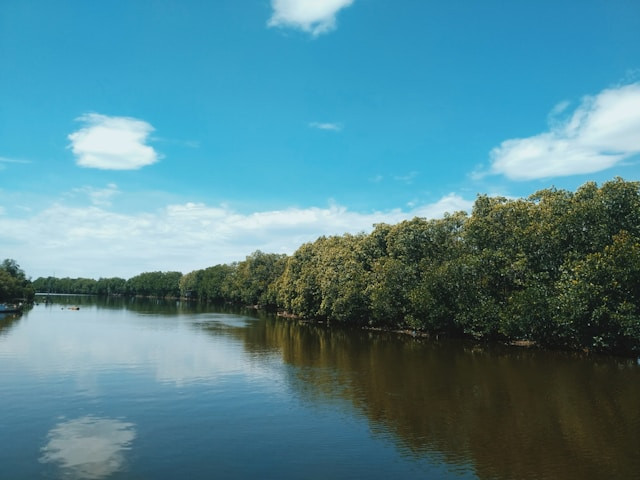 Sungai di Jawa Timur. Foto hanya ilustrasi, bukan tempat sebenarnya. Sumber: unsplash.com/Bayu Setiawan