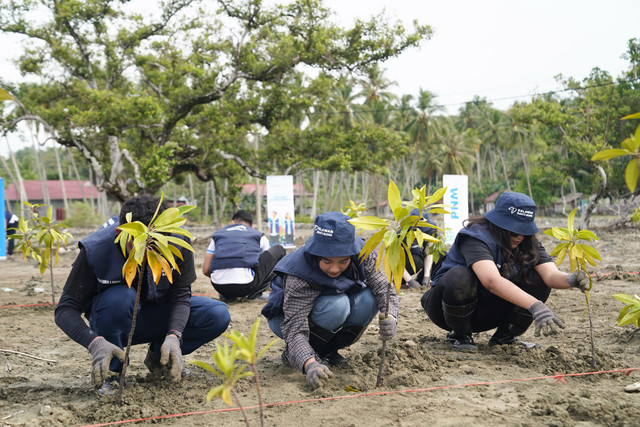 PNM bersama Relawan Bakti BUMN (RBB) menananm mangrove di Desa Towale. (ist)