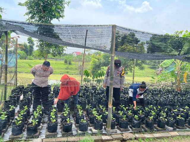 Bhabinkamtibmas Polsek Kedungwaru Lakukan Pengecekan Secara Berkala Tanaman P2B