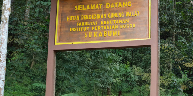 Mengenal Hutan Pendidikan yang Sering Dijadikan Tempat Praktikum Mahasiswa IPB University