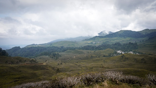 Ranggon Hills. Foto hanya ilustrasi, bukan tempat sebenarnya. Sumber: unsplash.com/Ishaq Robin