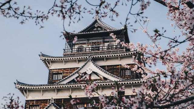 Ilustrasi bulan mei di jepang musim apa, Photo by Kenshi Kingami on Unsplash