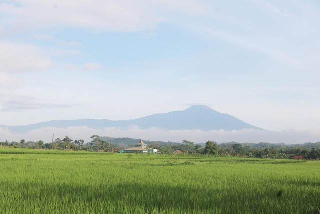 Gunung di Jawa Tengah. Foto hanya ilustrasi, bukan tempat yang sebenarnya. Sumber: Pixabay/mufidpwt