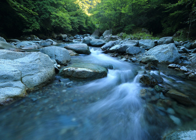 Ilustrasi Fakta Sungai Ciliwung, Unsplash/kazuend