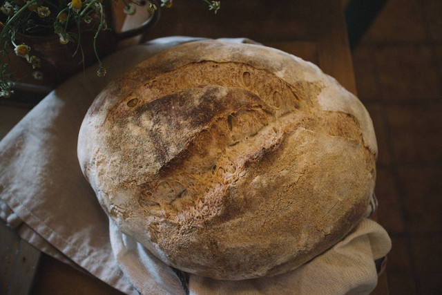 Ilustrasi gambar cara memberi makan starter sourdough, Pexels/Monserrat Soldú