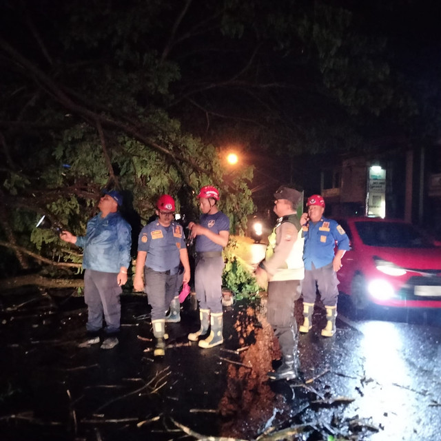 Polsek Tulungagung Kota Datangi TKP Pohon Trembesi Yang Tumbang di Jalan Raya 