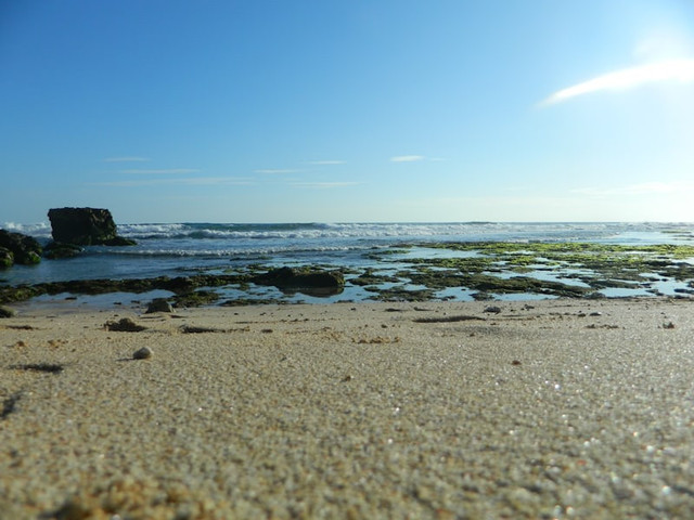 Pantai Popoh (Foto hanya ilustrasi, bukan pantai sebenarnya) Sumber: unsplash/  Pranawa Capture