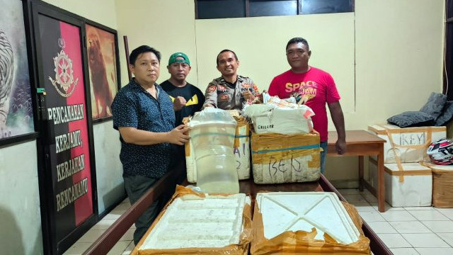 Ratusan liter minuman keras jenis captikus tak berizin berhasil diamankan Polsek Pelabuhan Manado. (foto: istimewa)