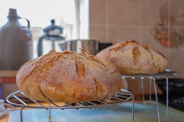 Ilustrasi perbedaan roti sourdough dan roti biasa, foto: unsplash/Dick Saunders