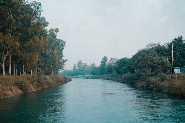 Taman Watu Kandang Trenggalek (Foto hanya ilustrasi, bukan tempat sebenarnya) Sumber: unsplash/ Gaurav Kumar