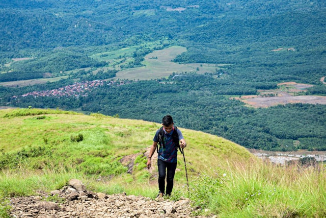 Bukit Pamoroan. Foto hanyalah ilustrasi bukan tempat sebenarnya. Sumber: Unsplash/Ifik Ismoedjati