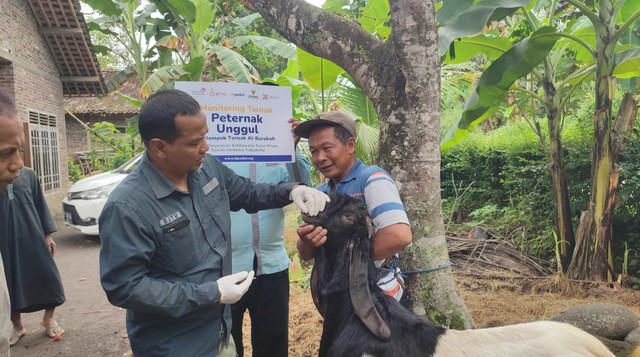 Pengecekan Kesehatan Indukan Kambing yang akan diserahkan kepada Kelompok Ternak Al Barokah binaan DT Peduli Yogyakarta (Sumber : DT Peduli)