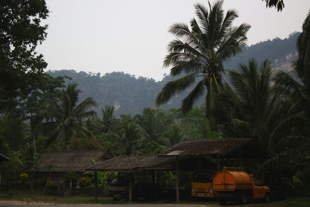 Ilustrasi Rumah Adat Sasadu, Warisan Budaya Suku Sahu, Unsplash/Илья Мельниченко