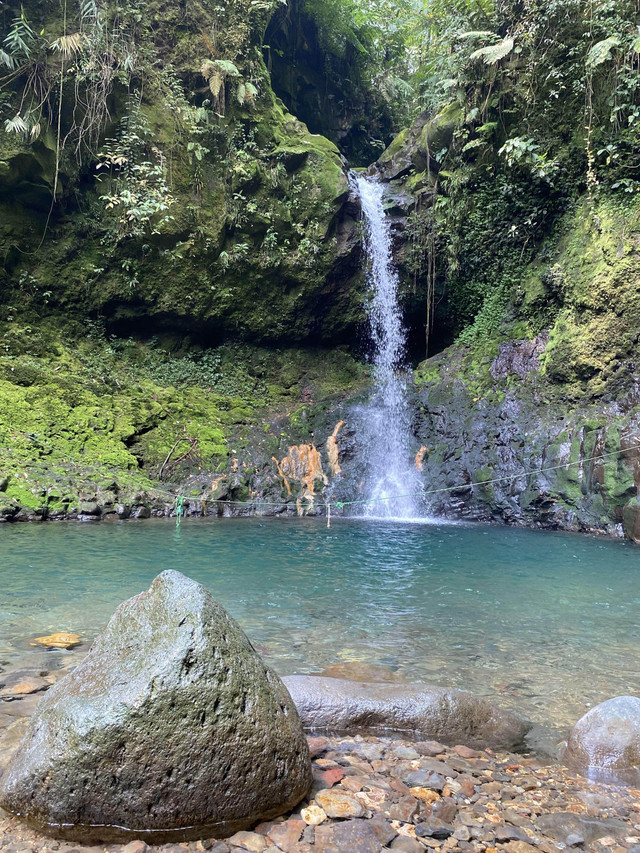 Curug Goa Lumut di Gunung Bunder, Taman Nasional Gunung Halimun Salak. Sumber: Dokumentasi Pribadi 